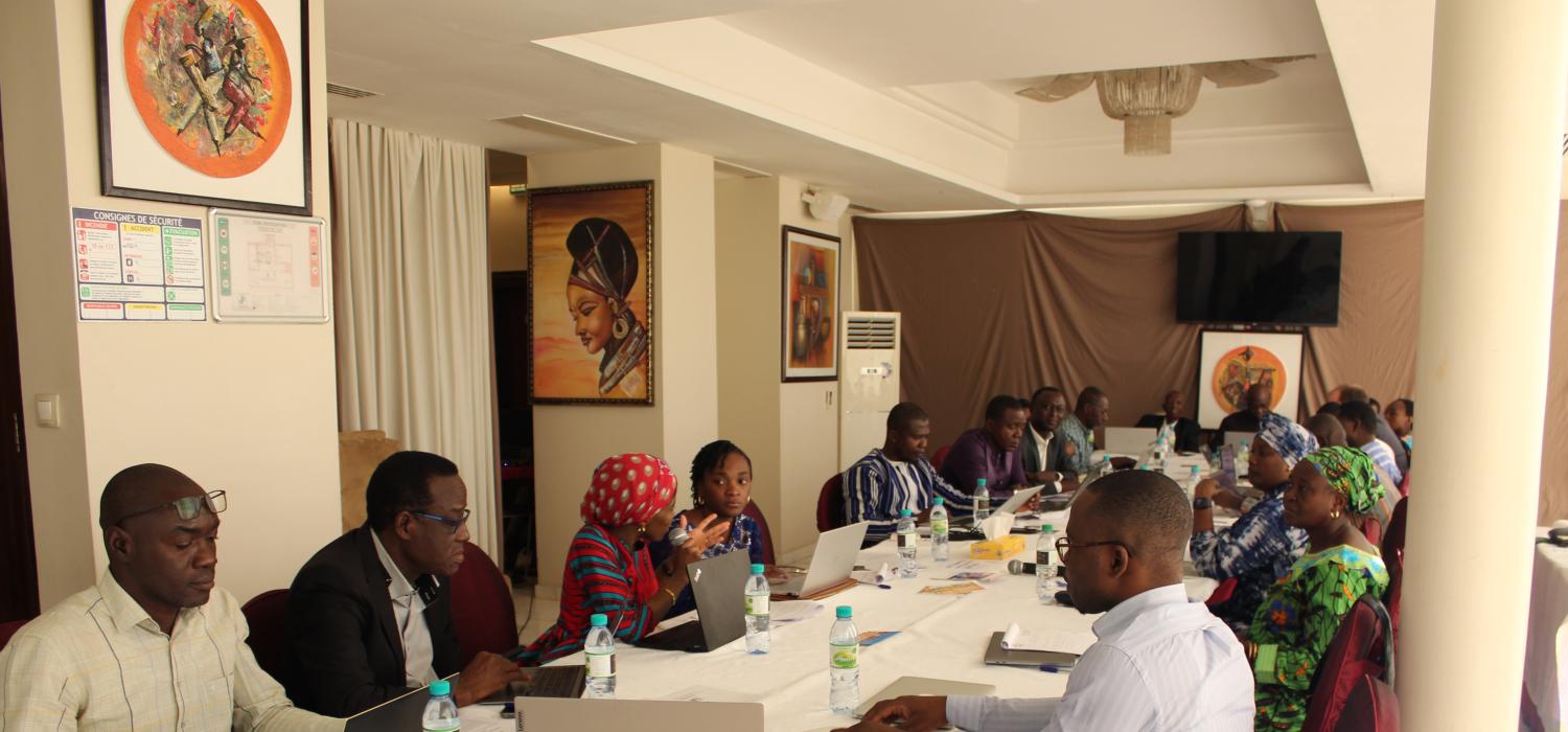  Doing Research en Afrique francophone
