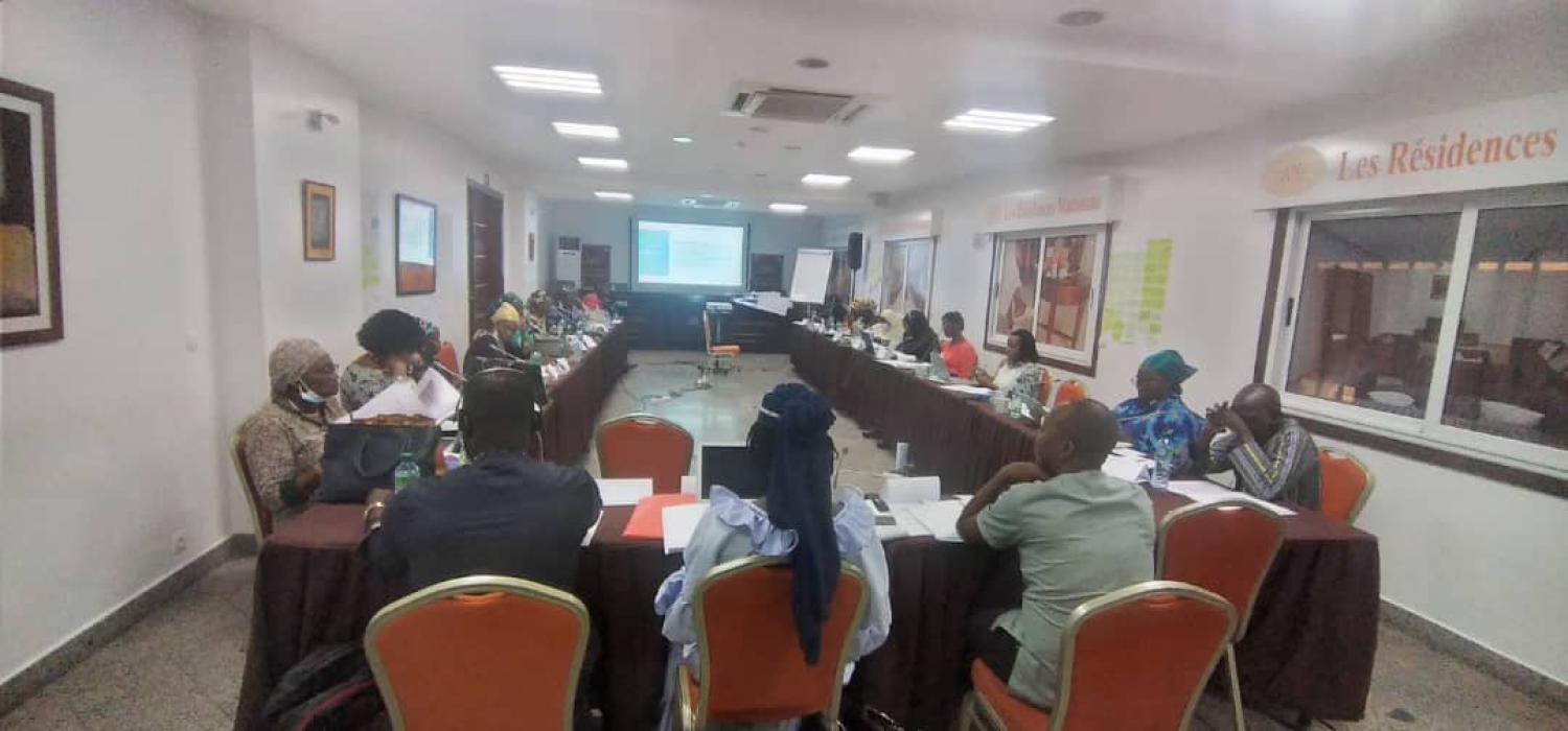 Atelier de formation au Modèle de Centre d’Excellence de FAWE