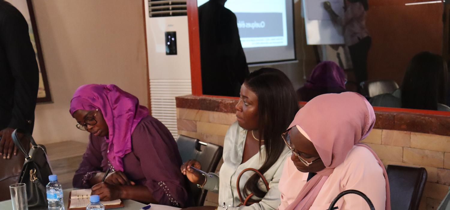 Formation Ministère de la Microfinance et de l'Economie Sociale et Solidaire