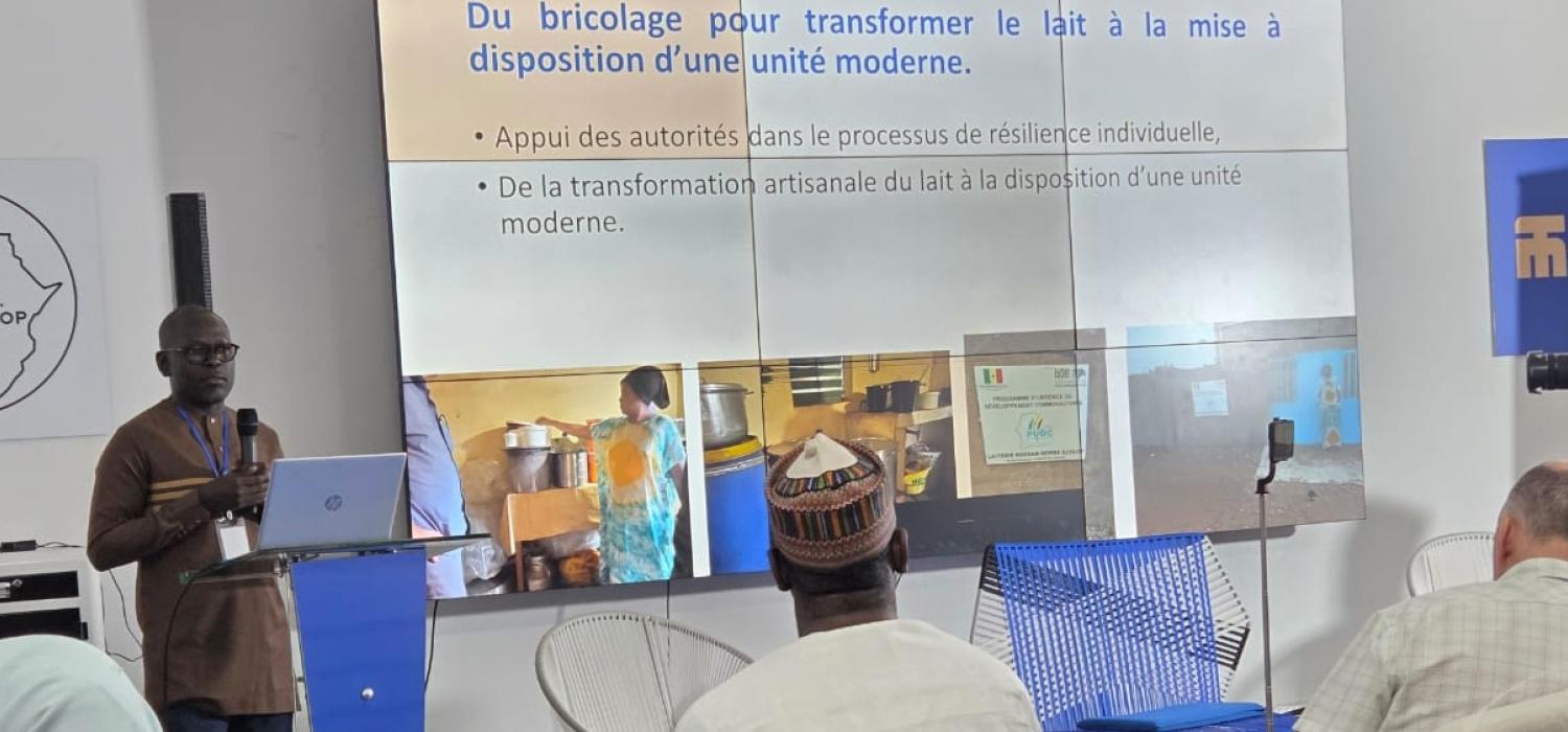 Changement climatique et Sécurité au Sahel