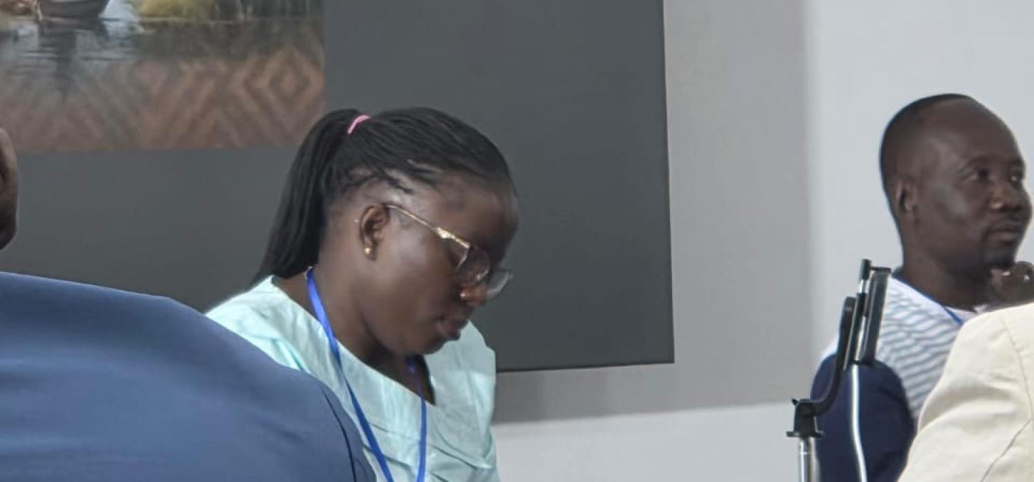 Changement climatique et Sécurité au Sahel