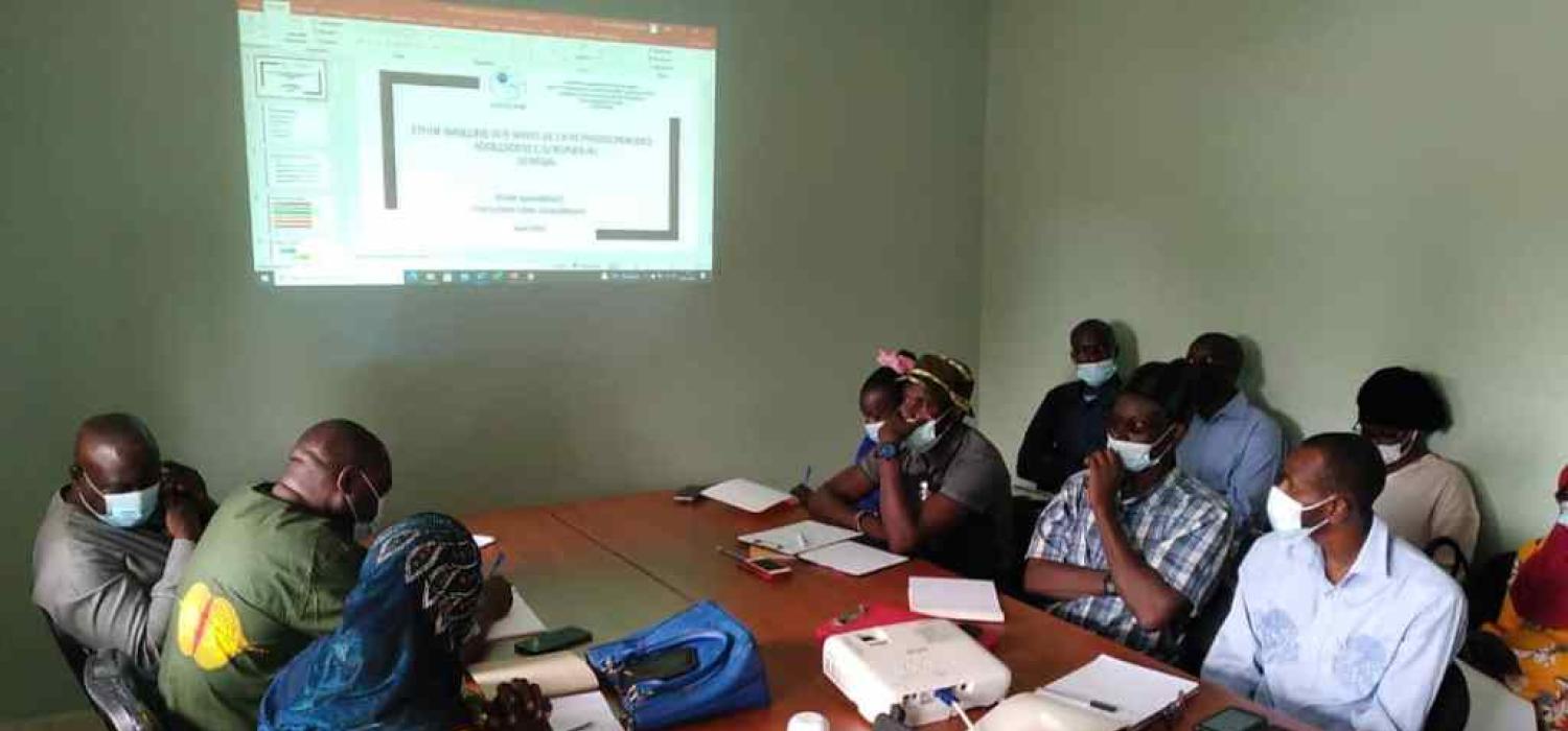 Projet SANSAS: formation des enquêteurs sur les outils quantitatifs et qualitatifs à Mbour et à Sedhiou