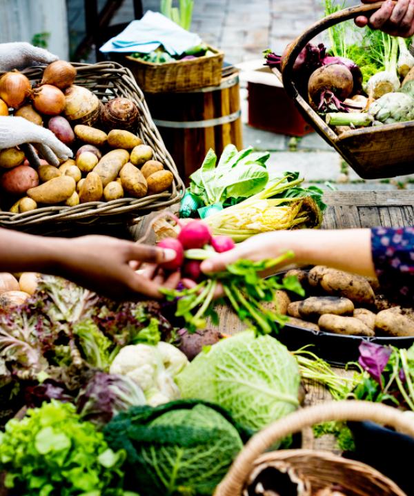 Environnement alimentaire urbain à Dakar au Sénégal Diversité alimentaire des points de vente et restauration, et perceptions de la qualité nutritionnelle et sanitaire des aliments