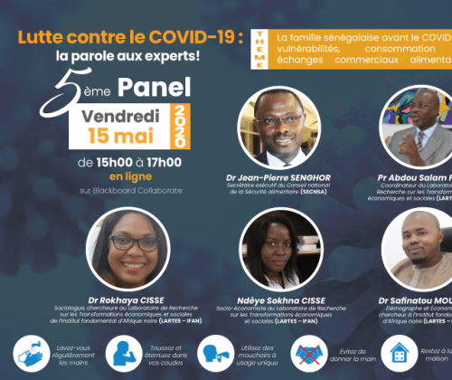 La famille sénégalaise avant le COVID-19 : vulnérabilités, consommation et échanges commerciaux alimentaires