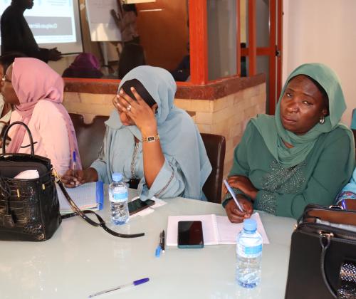 Formation Ministère de la Microfinance et de l'Economie Sociale et Solidaire